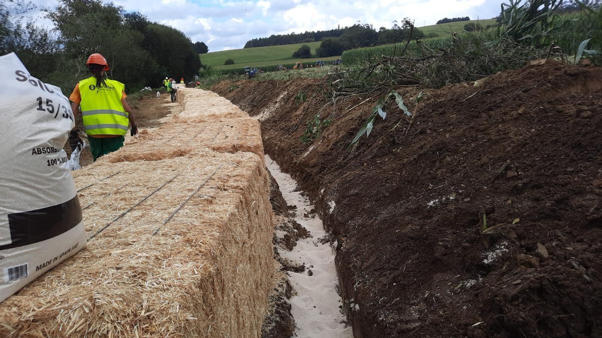 Bloques de paja y zanjas en la explotación ganadera de Trazo y en sus cercanías para evitar que los vertidos llegaran al río