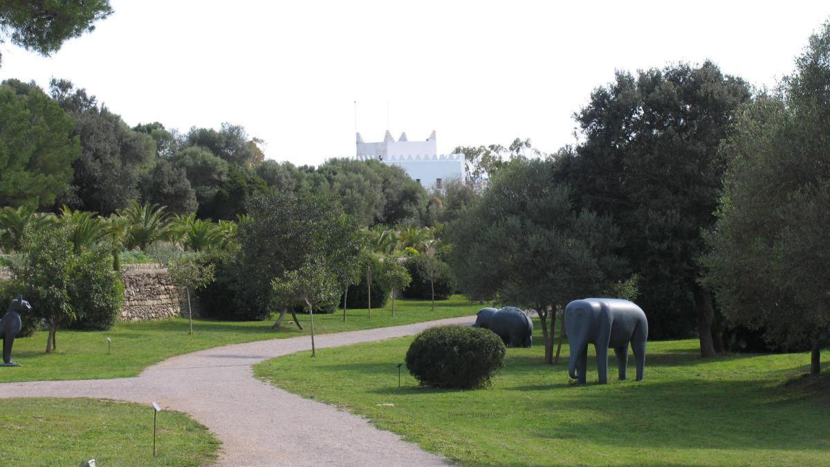 El Museo Sa Bassa Blanca de Alcúdia reabre parcialmente este miércoles