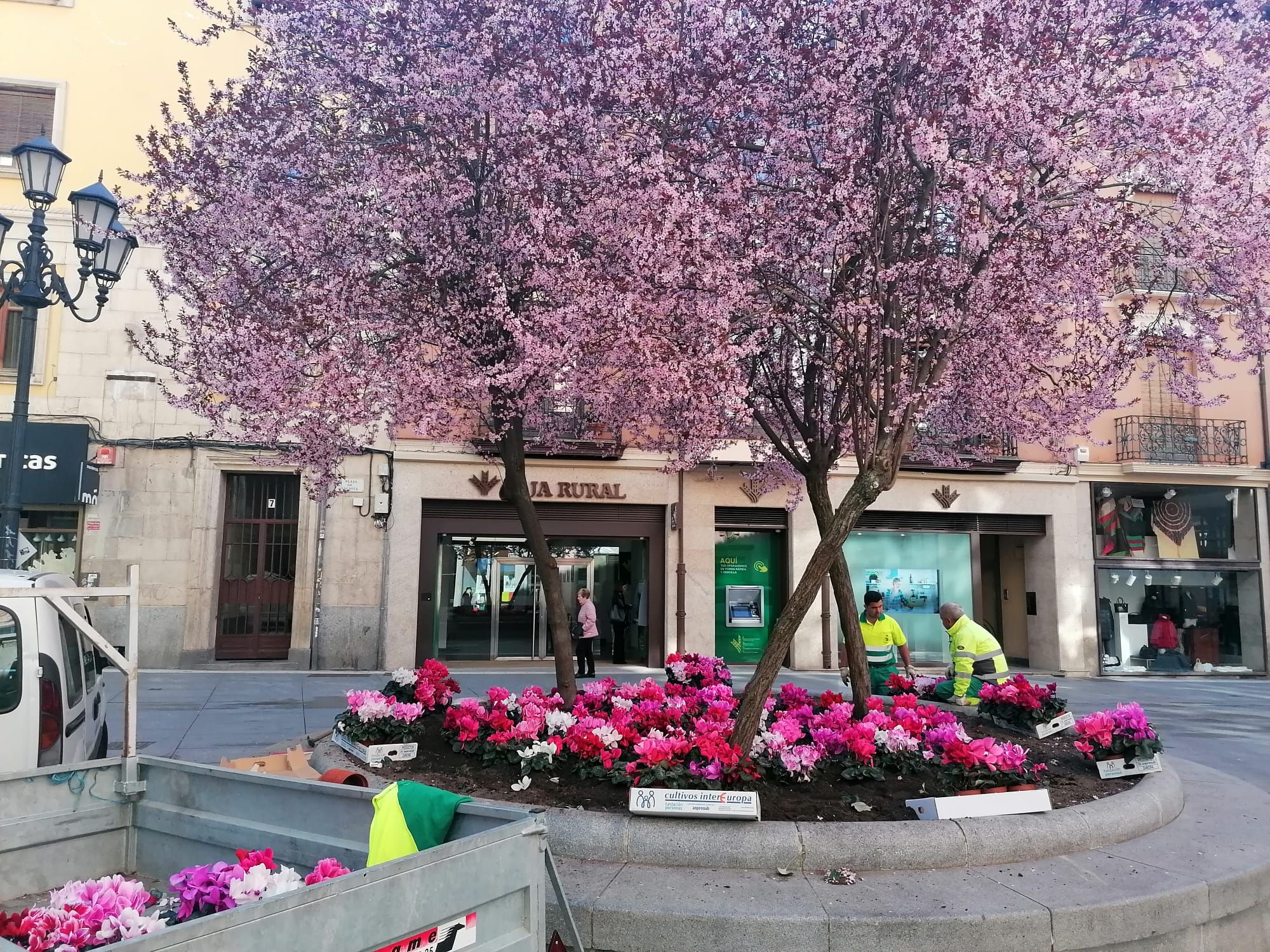 Zamora "se pone" bonita para Semana Santa