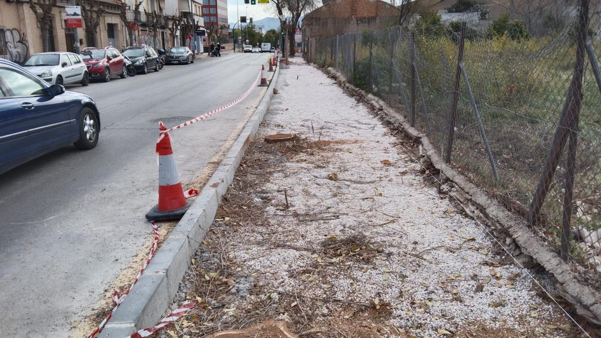 Acera sin árboles en la Avenida Teniente Montesino