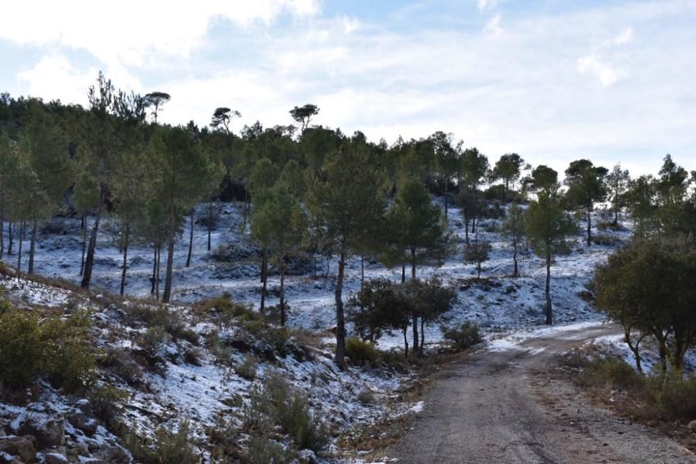 Ligera capa de nieve también en Sierra Salinas