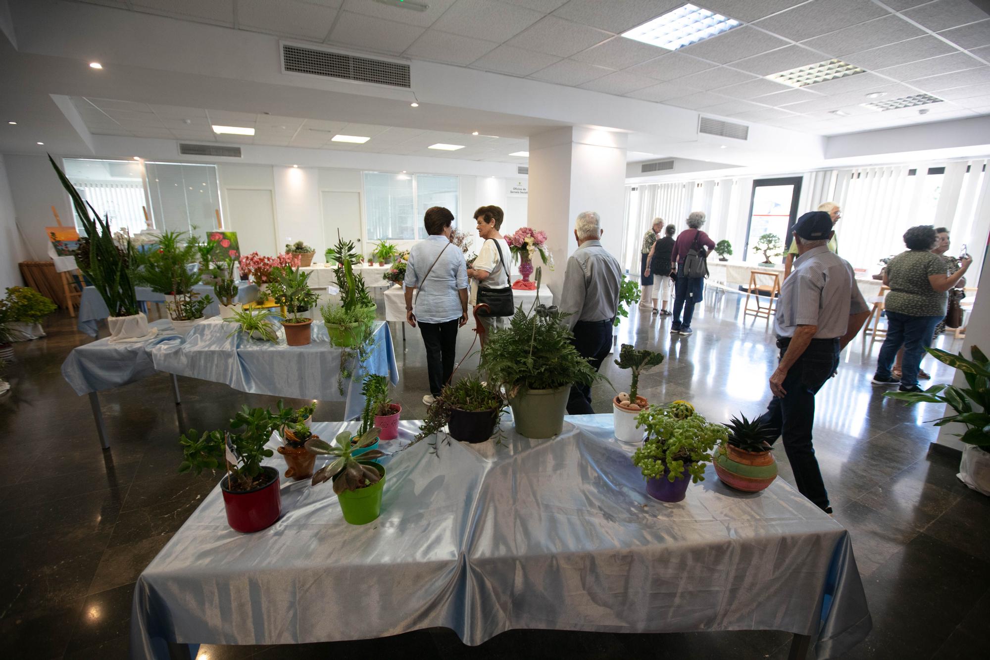 Exposición de plantas y mucha tradición en Puig d'en Valls