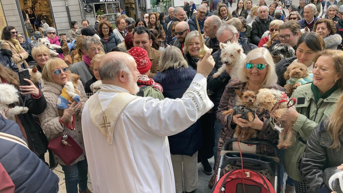 Las mascotas van al cielo de la mano de San Antón: así fue la tradicional bendición de animales en Oviedo