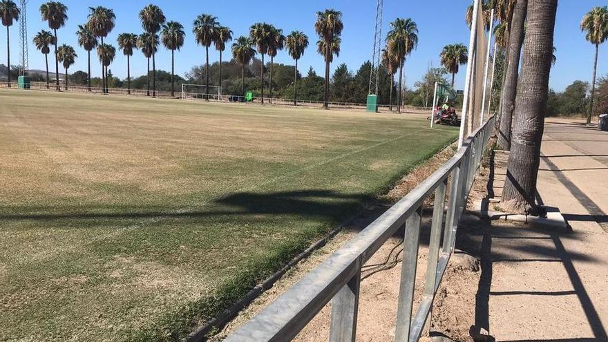 Trabajos de resiembra en el campo pequeño de la Ciudad Deportiva, la pasada semana.