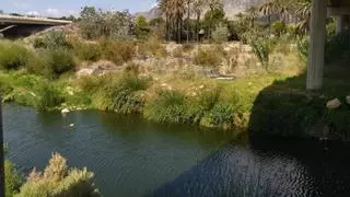 Y debajo del "mar de cañas" había un río, el Girona