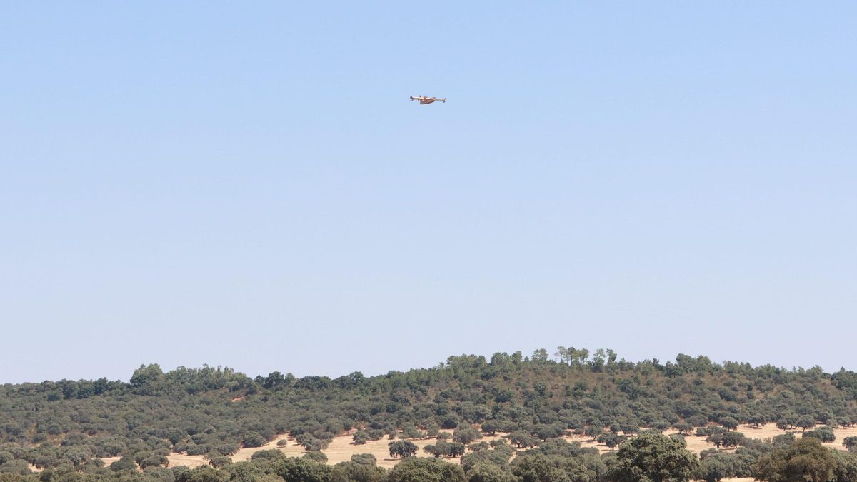 Así se está desarrollando el incendio en Valdecaballeros