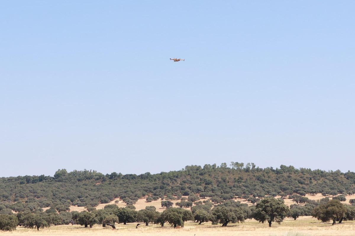 Así se está desarrollando el incendio en Valdecaballeros Así se está desarrollando el incendio en Valdecaballeros