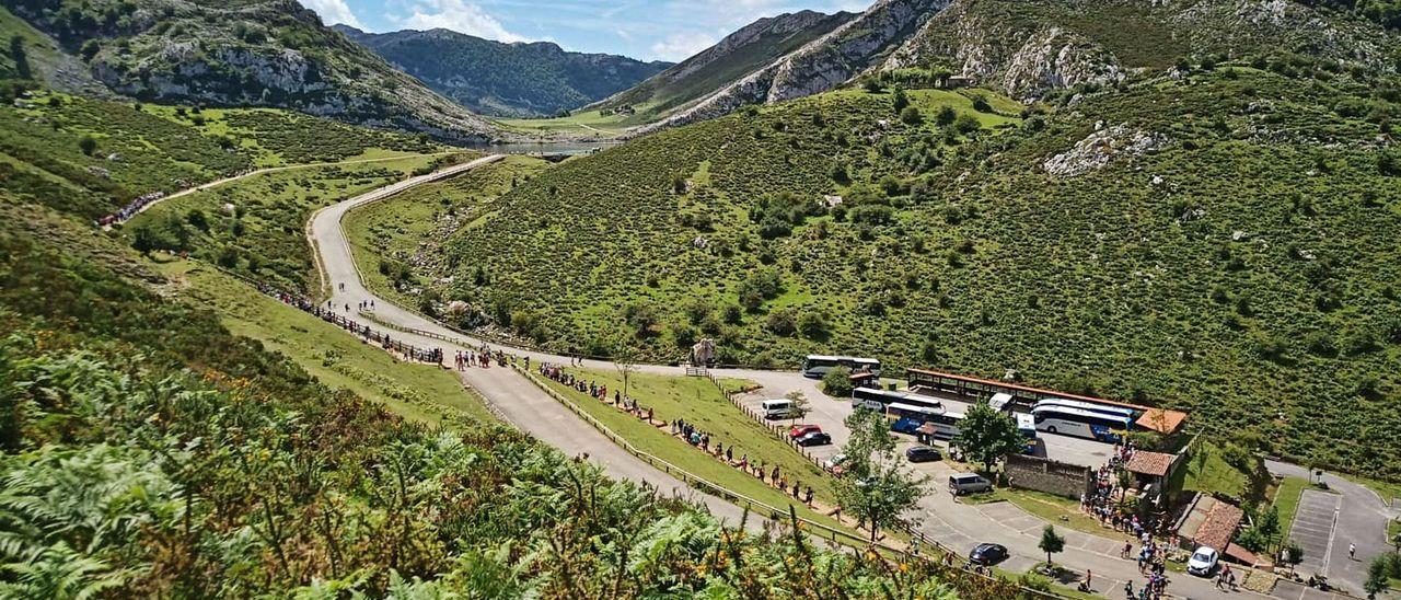 Colas, este agosto, en las instalaciones de Buferrera, en los Lagos de Covadonga. | J. M. C.