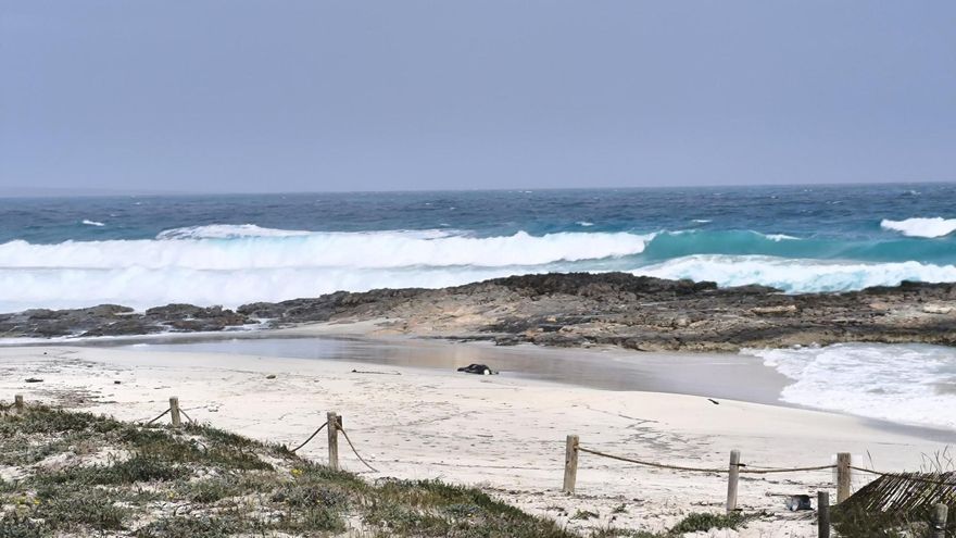 Aparece un nuevo cadáver en una playa de Formentera