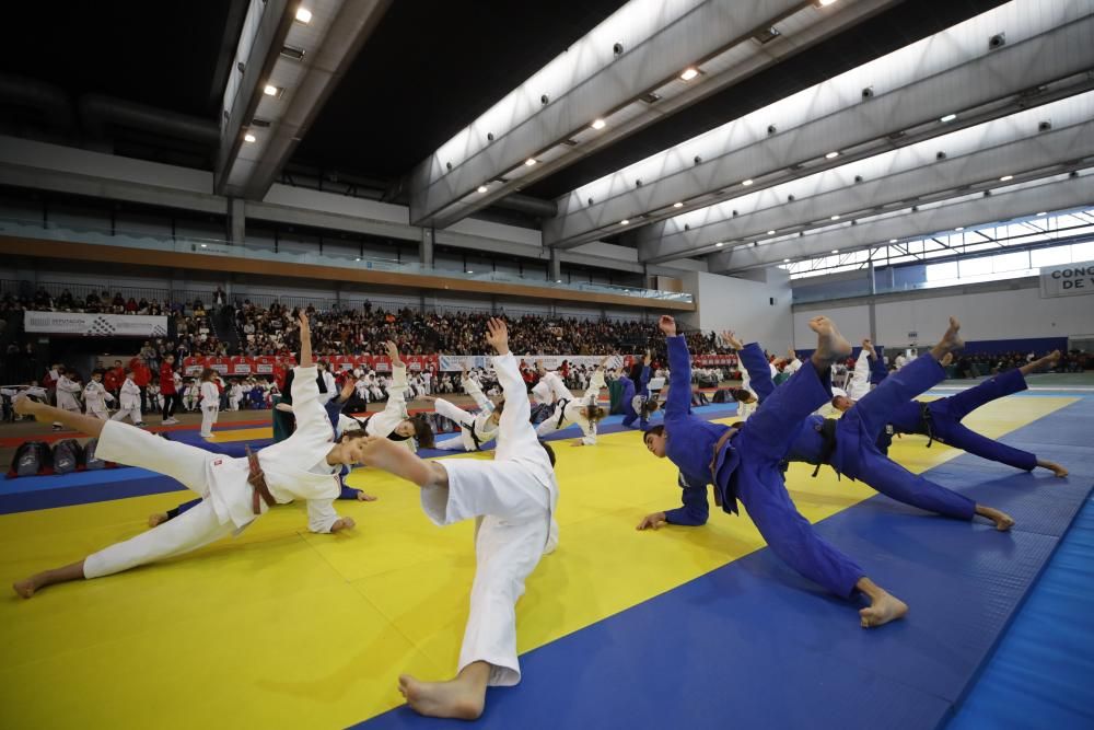 26ª edición de la Fiesta del Judo Infantil