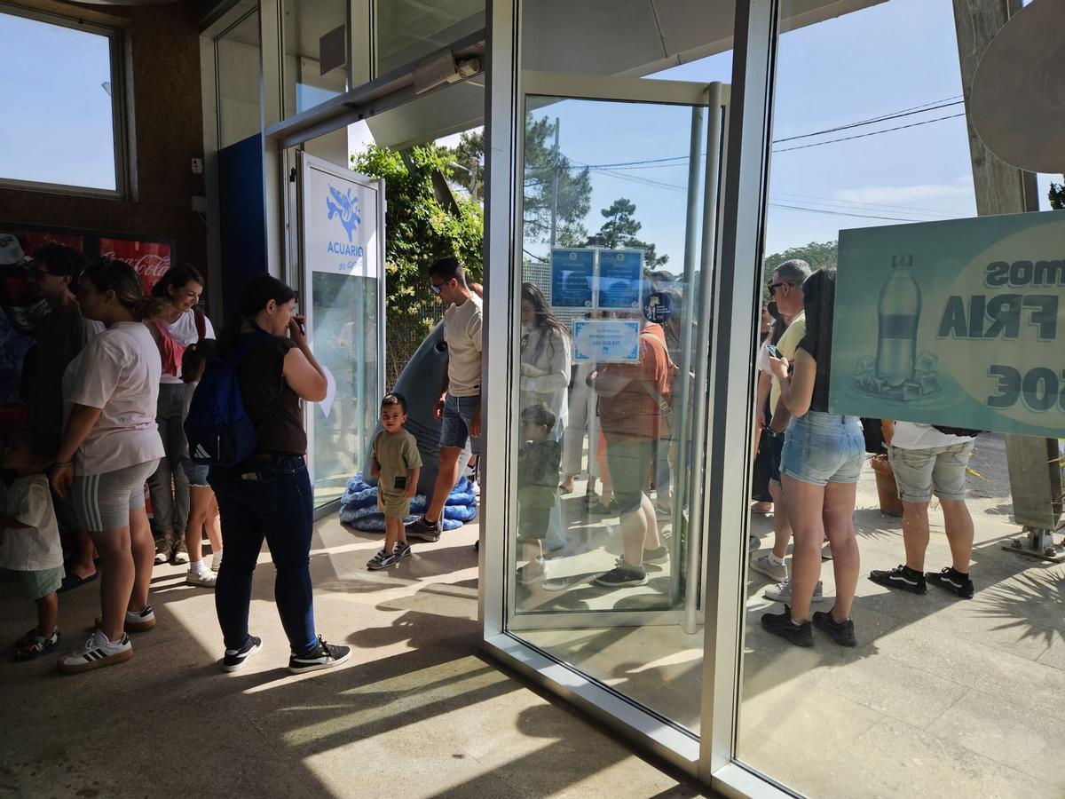 La llegada de un grupo de visitantes al Acuario.