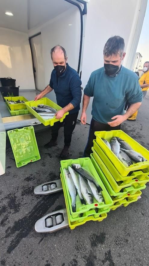 Antonio Otero, el patrón mayor de la cofradía de pescadores grovense, descarga una caja de lubinas.