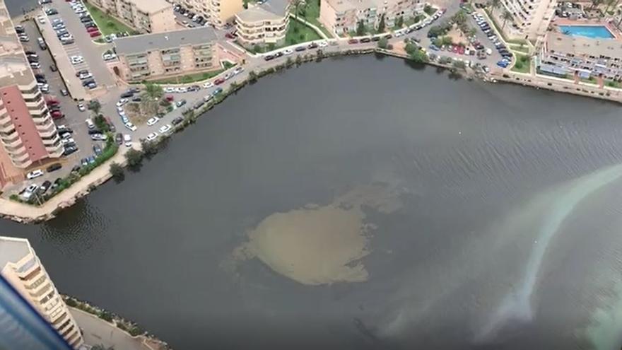 La bolsa anóxica con materia en descomposición que causa la muerte de los peces del Mar Menor