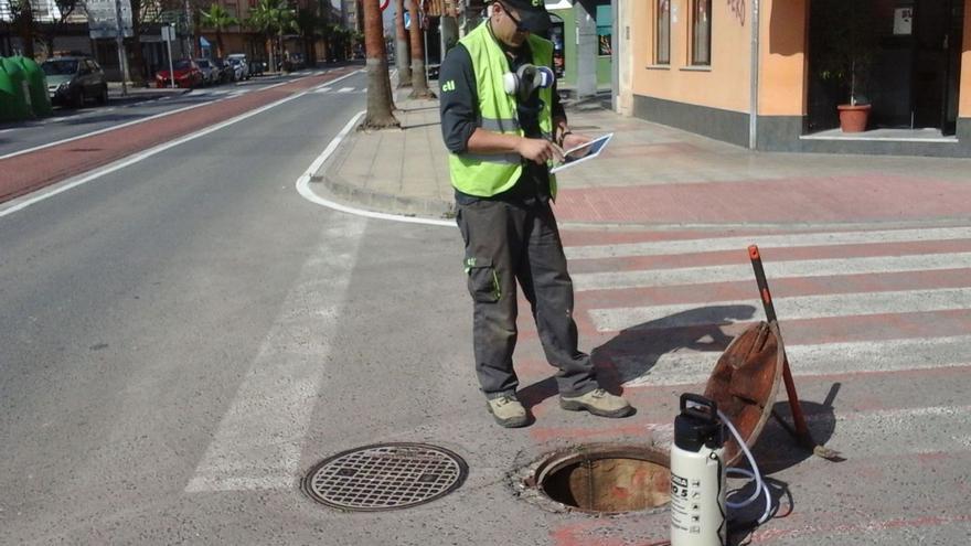 Un operario de la contrata de plagas en una alcantarilla de València. | LEVANTE-EMV