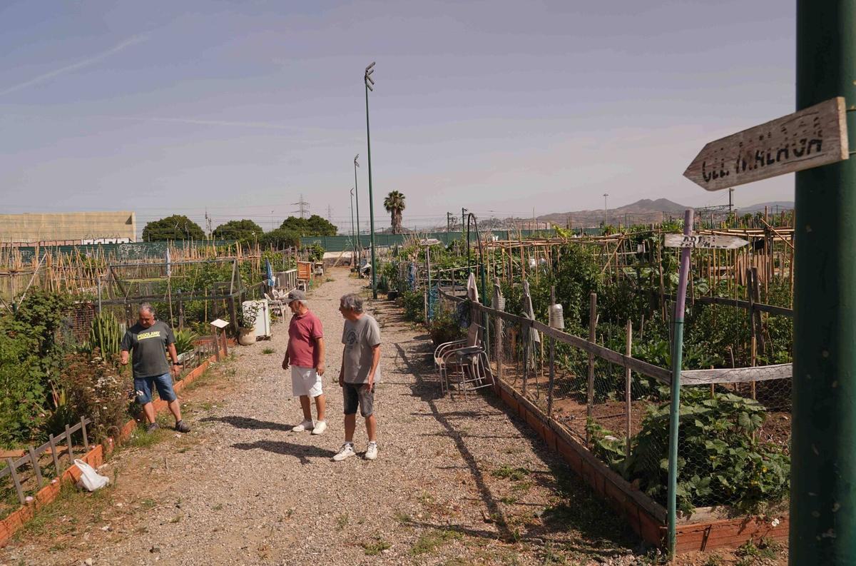 Décimo aniversario del huerto urbano más grande de la capital malagueña.
