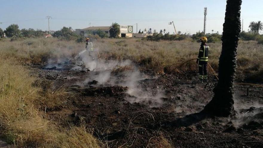 Un instante del incendio registrado esta tarde junto al Hospital General de Elche