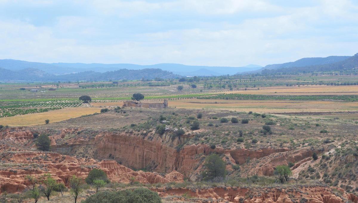 Constatan la presencia de neandertales en Requena hace 100.000 años