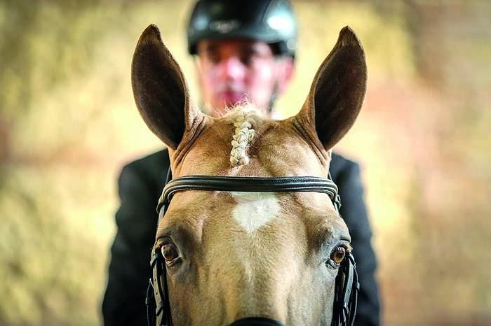 Caballo español, marcando el paso durante siglos