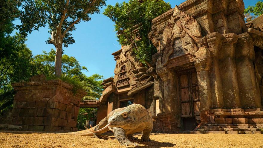 Bioparc Fuengirola ofrece una experiencia única para los visitantes.