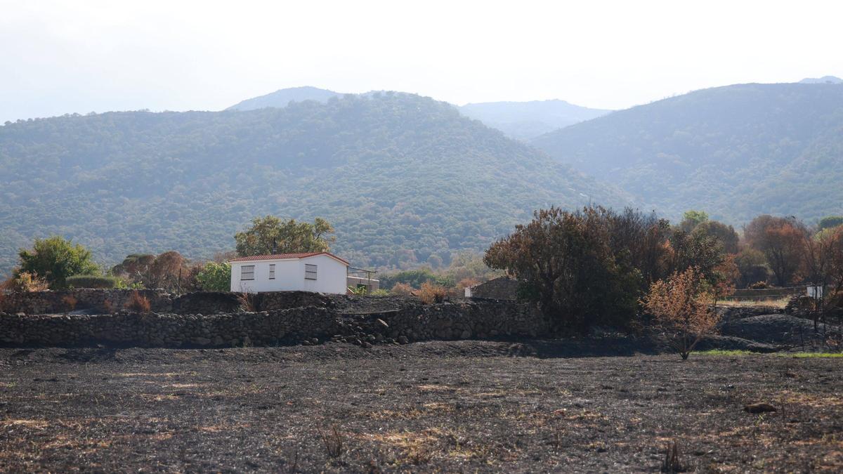 Fotogalería | Los días después de Jarilla