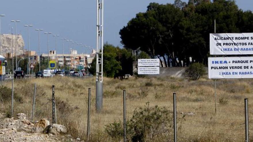 Alicante Avanza e Ikea rompen el contrato para la instalación de la compañía en Rabasa