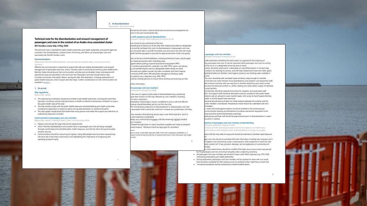 Montaje de las tres primeras páginas del documento con el Puerto de Granadilla de fondo.