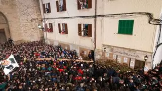 Alud de críticas por la rotura del Pi de Pollença: "Ha sido un fracaso"