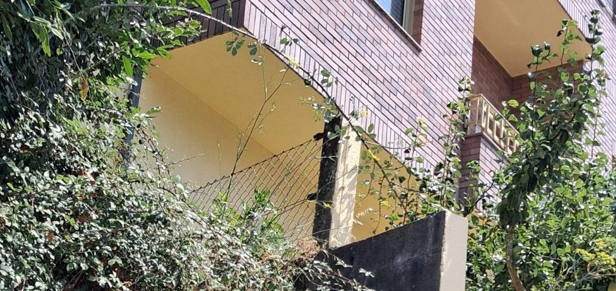 Solicitan el desbroce de fincas por riesgo de incendio en una calle de Lalín |