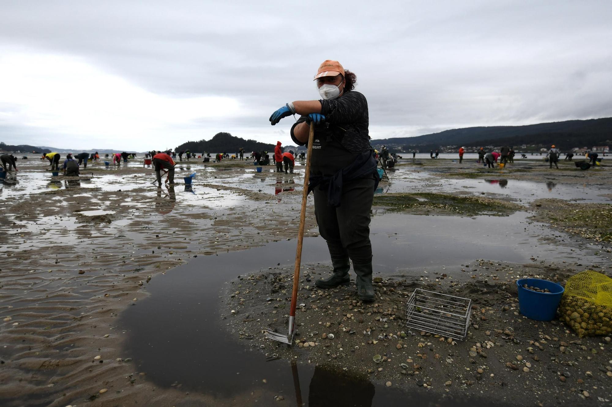 Las mariscadoras vuelven a faenar