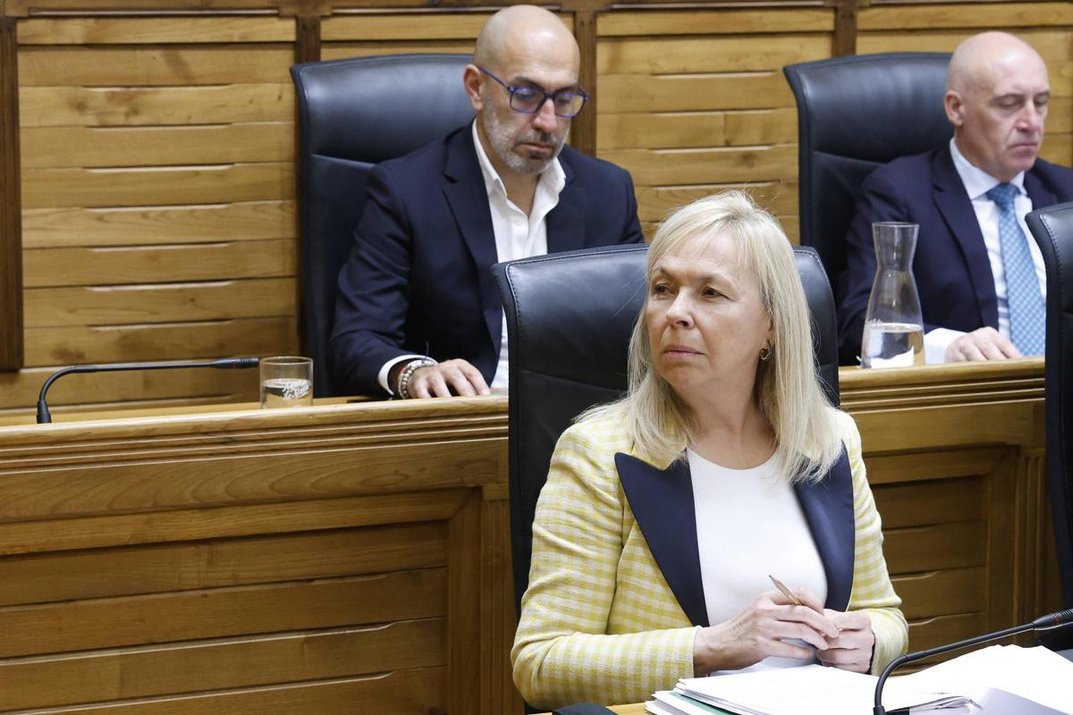 Sara Álvarez Rouco, en el Pleno.