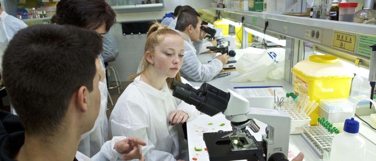 Estudiantes de Secundaria realizan prácticas de laboratorio en la UA antes del cierre por la pandemia. | INFORMACIÓN