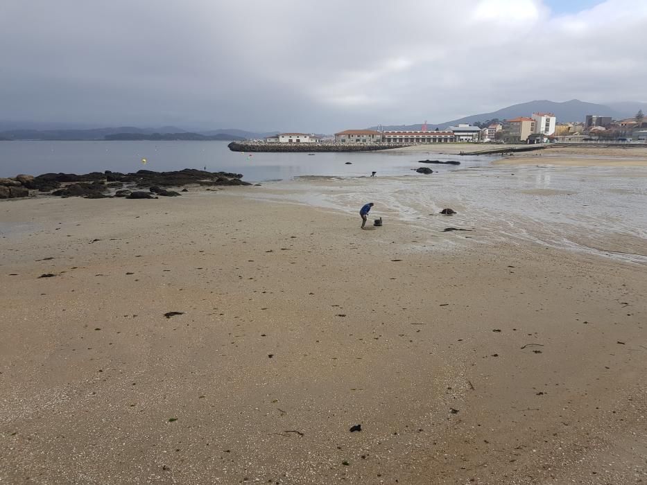 "Mareas vivas" en Galicia.