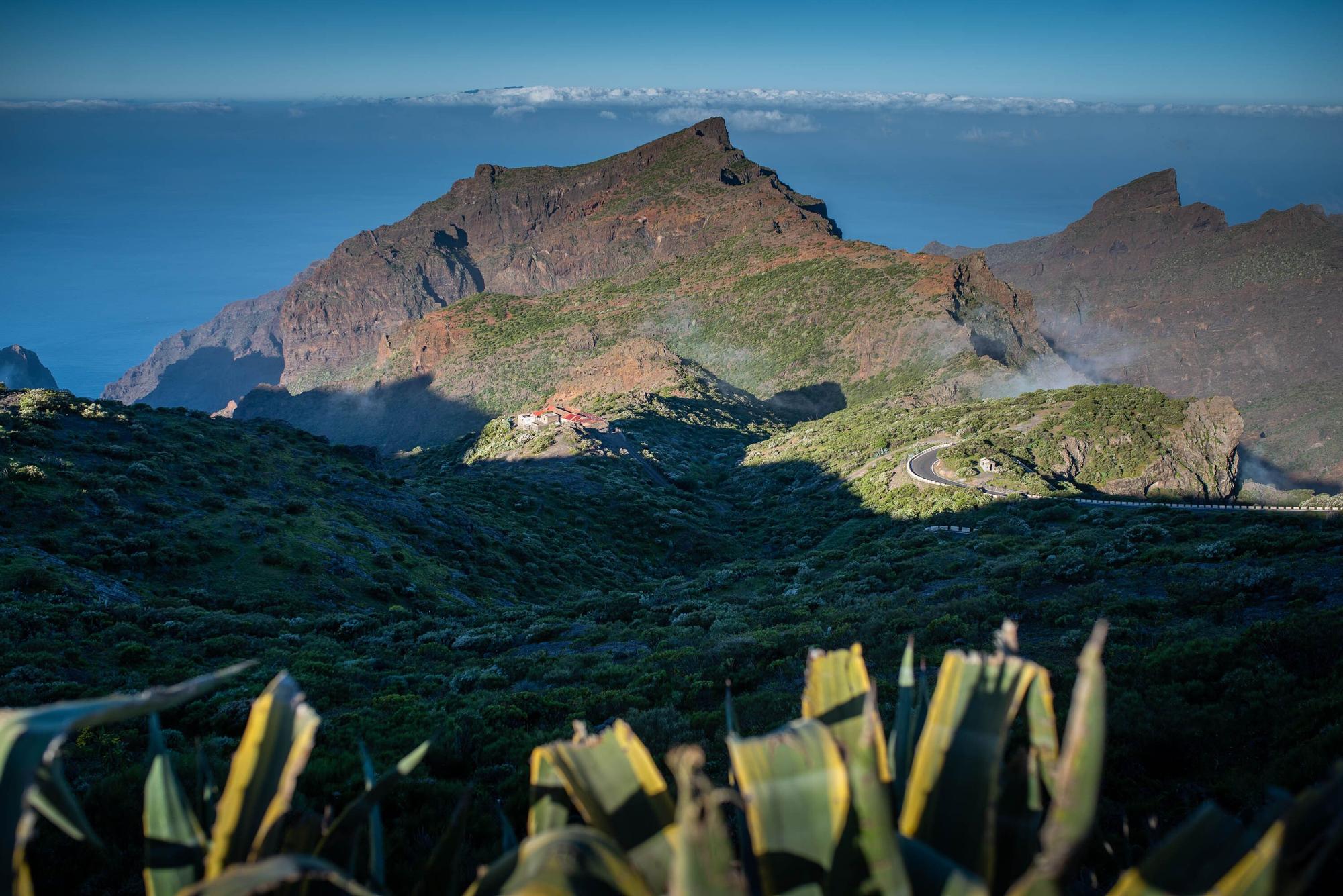 Barranco de Masca