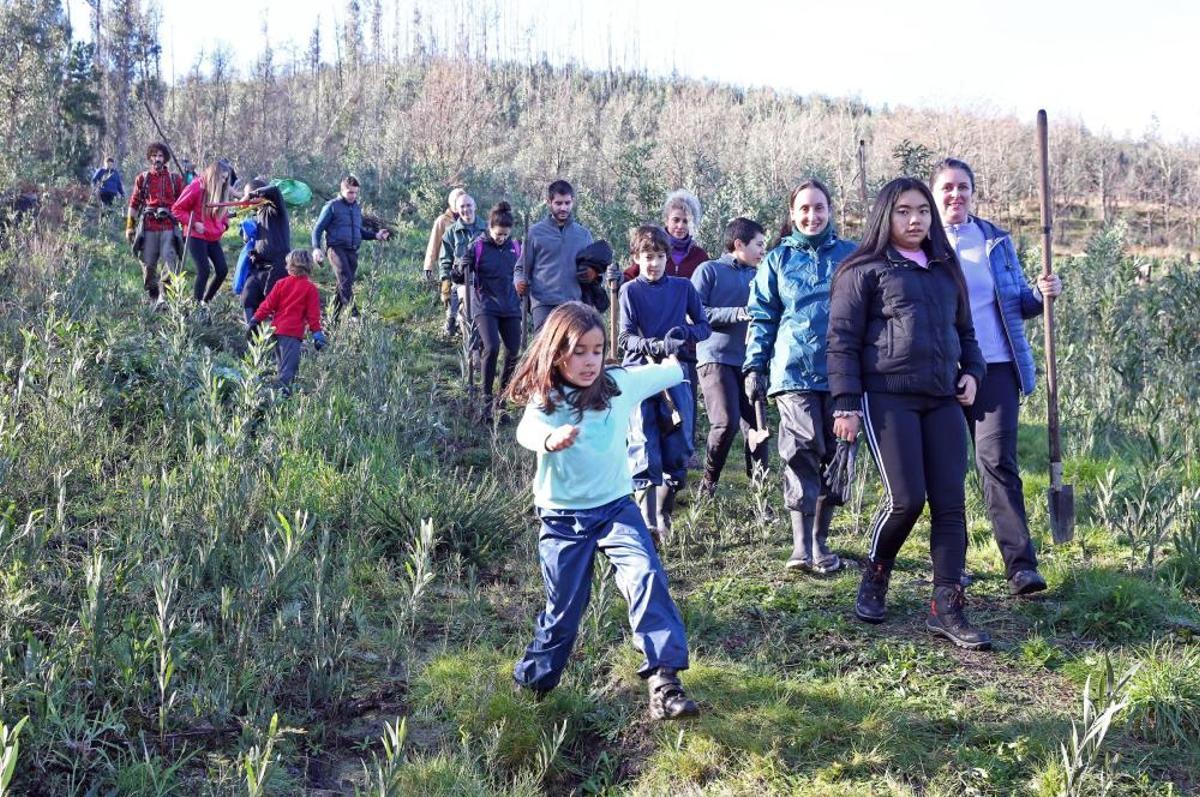 La Comunidad de Montes de Coruxo, que, en colaboración con las brigadas deseucaliptizadoras de Verdegaia, organizaron una jornada de voluntariado para liberar de eucaliptos el regato de O Pontón. La Comunidad de Montes de Coruxo, que, en colaboración con las brigadas deseucaliptizadoras de Verdegaia, organizaron una jornada de voluntariado para liberar de eucaliptos el regato de O Pontón.