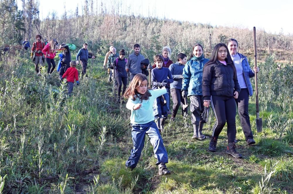 La Comunidad de Montes de Coruxo, que, en colaboración con las brigadas deseucaliptizadoras de Verdegaia, organizaron una jornada de voluntariado para liberar de eucaliptos el regato de O Pontón.