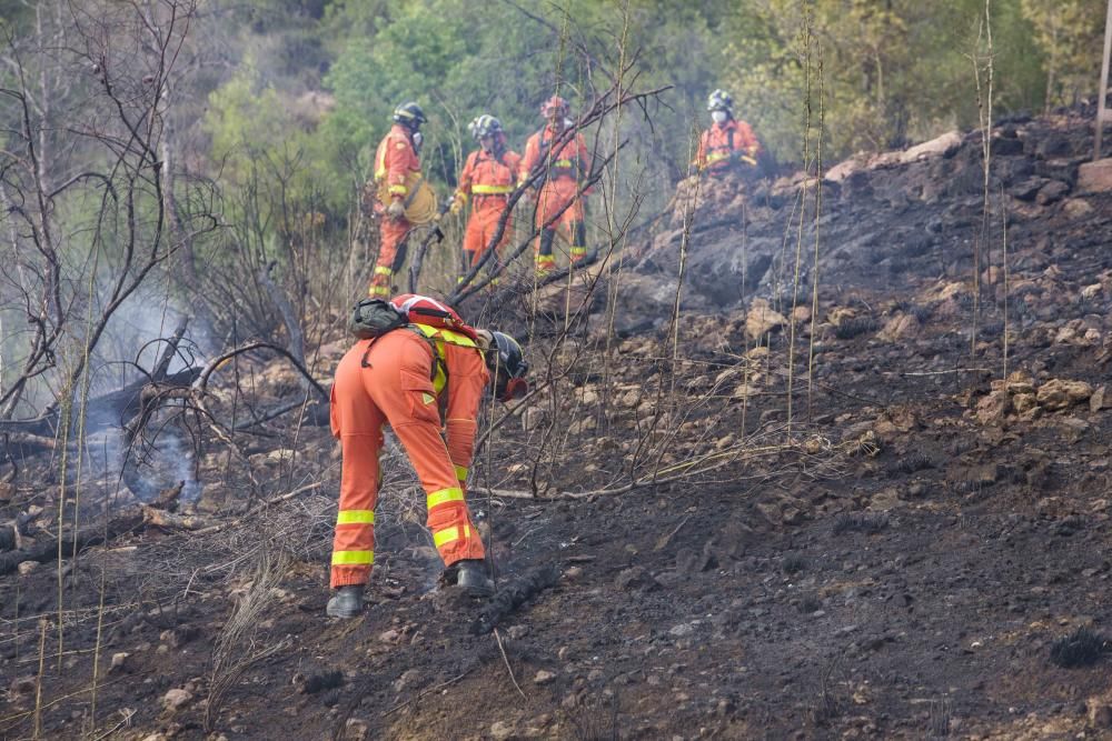 Incendio forestal en la zona el Pi d'Ambrosio de l'Ènova