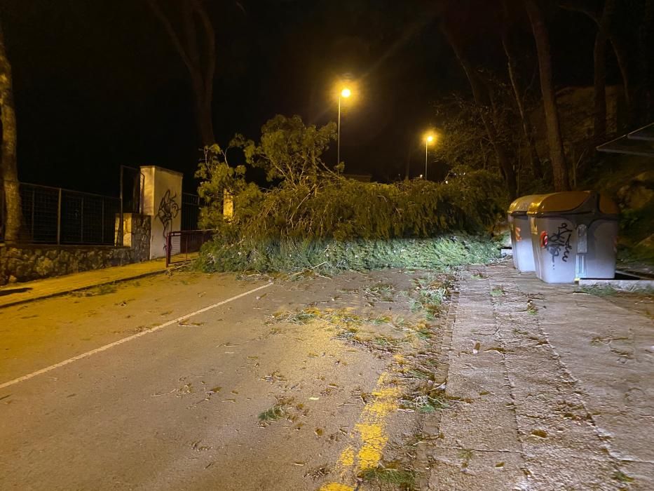 El vent provoca destrosses a les comarques gironines