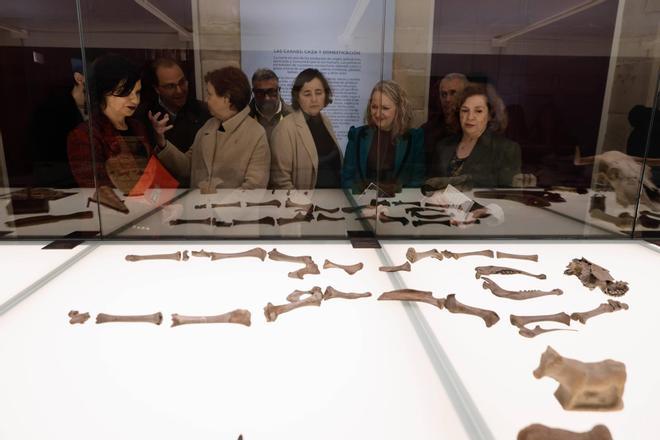 Gijón viaja al pasado con "Convivium", un homenaje a la dieta cantábrica con más de 300 piezas arqueológicas (en imágenes)