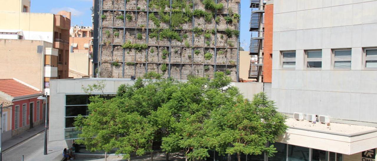 San Vicente gastará 110.000 euros en un nuevo jardín vertical tras dejar morir el anterior
