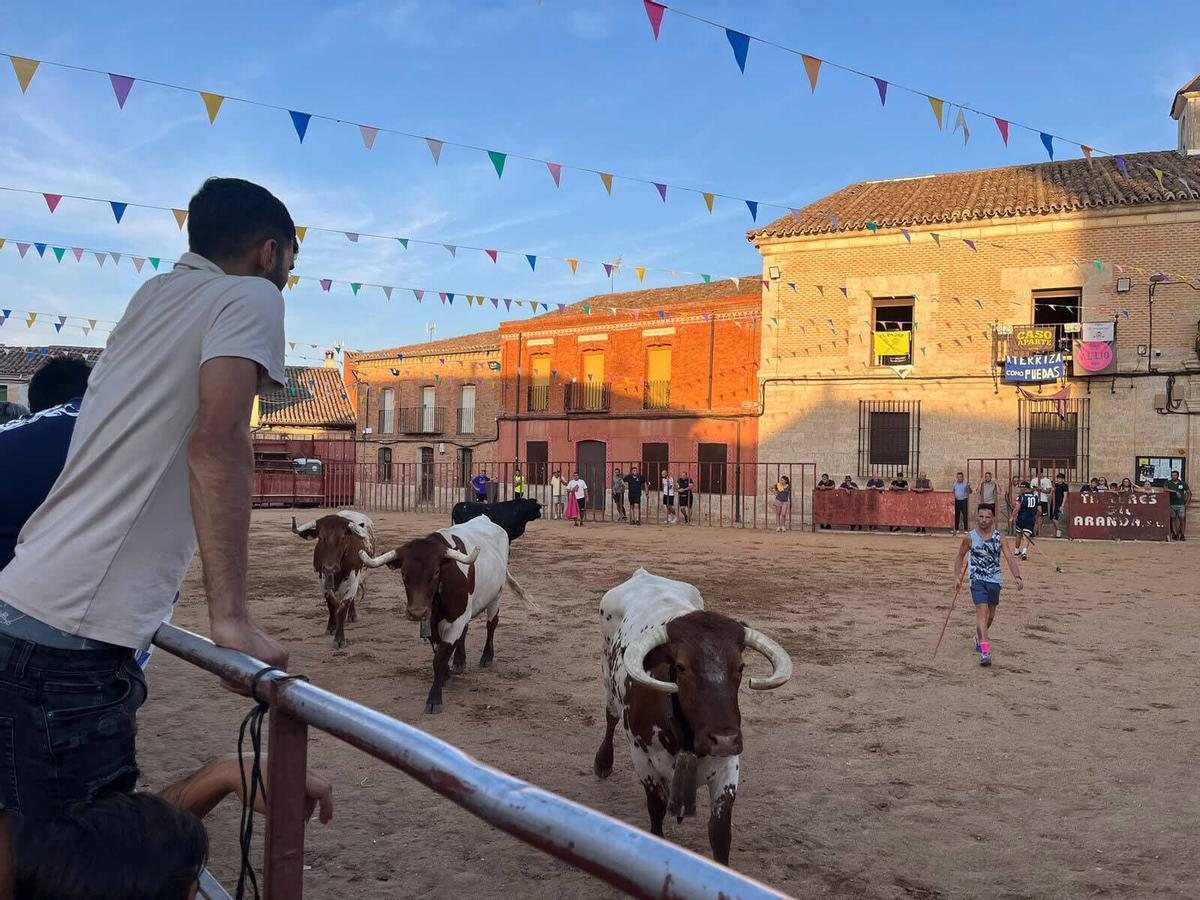 San Roque en Morales de Toro, 2026_2