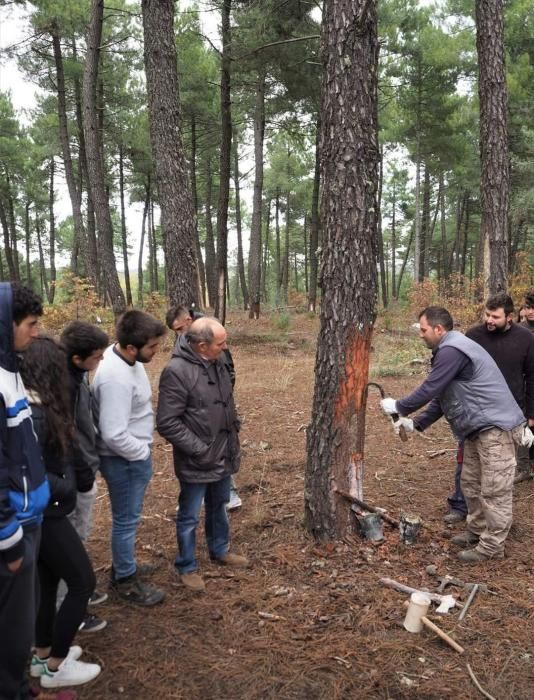 Escuela de naturaleza en el corazón del monte