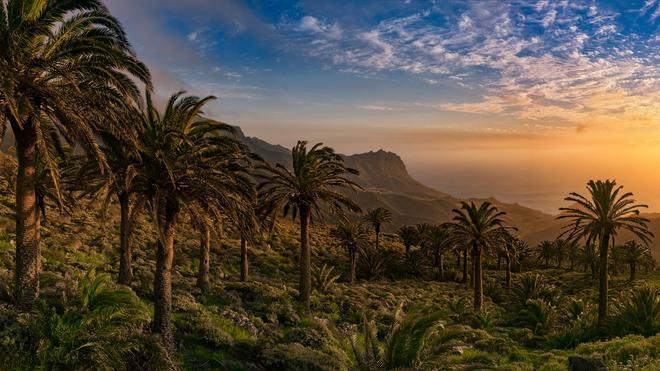 Tazo, La Gomera