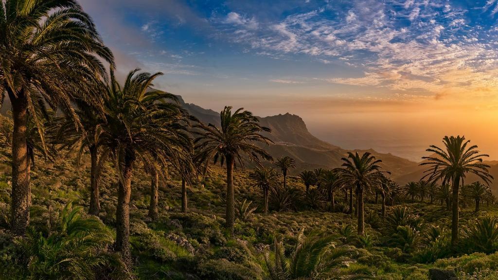 El caserío de Tazo se extiende entre los palmerales naturales más extensos de Canarias.