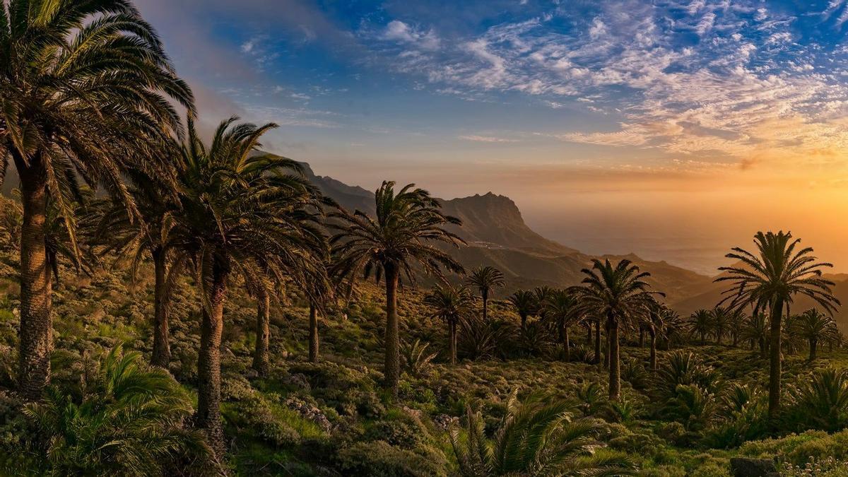 Tazo, La Gomera