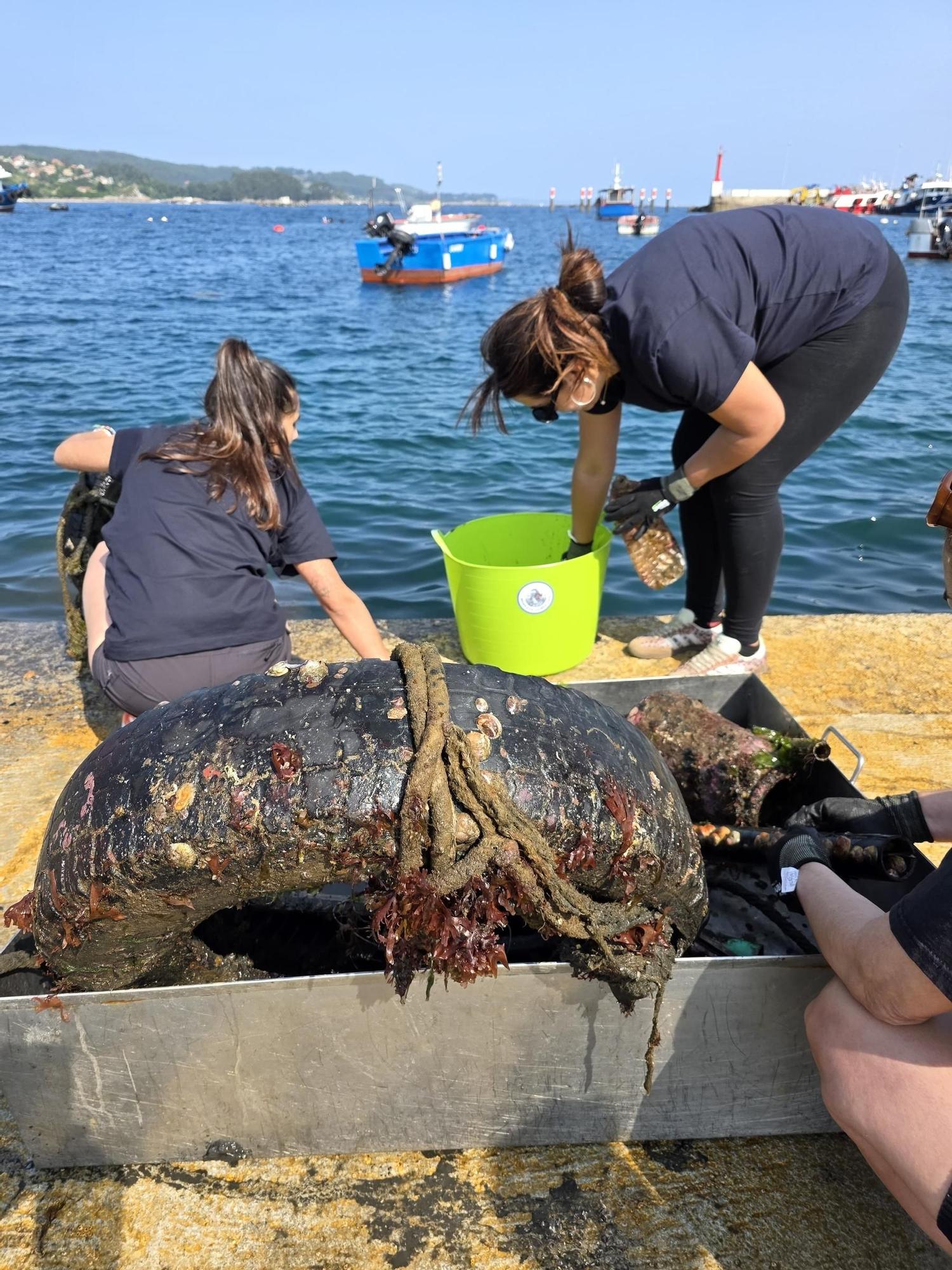 "Recuperación do Morrazo Somerxido", una iniciativa del Centro de Buceo Rías Baixas