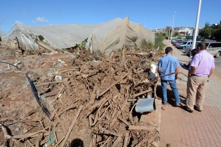 EFECTOS TEMPORAL TELDE