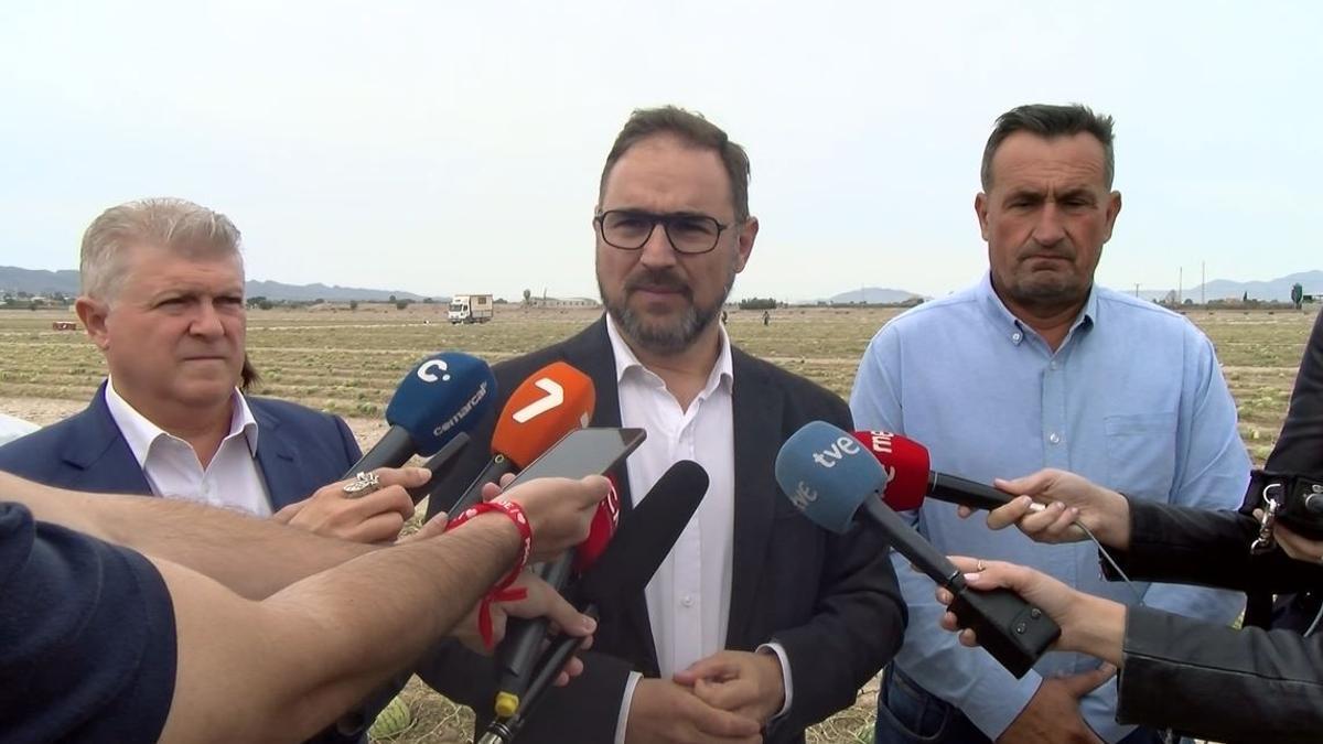 Pepe Vélez, Diego José Mateos y Julián Díaz contemplan sandías aún sin desarrollarse. L. O.