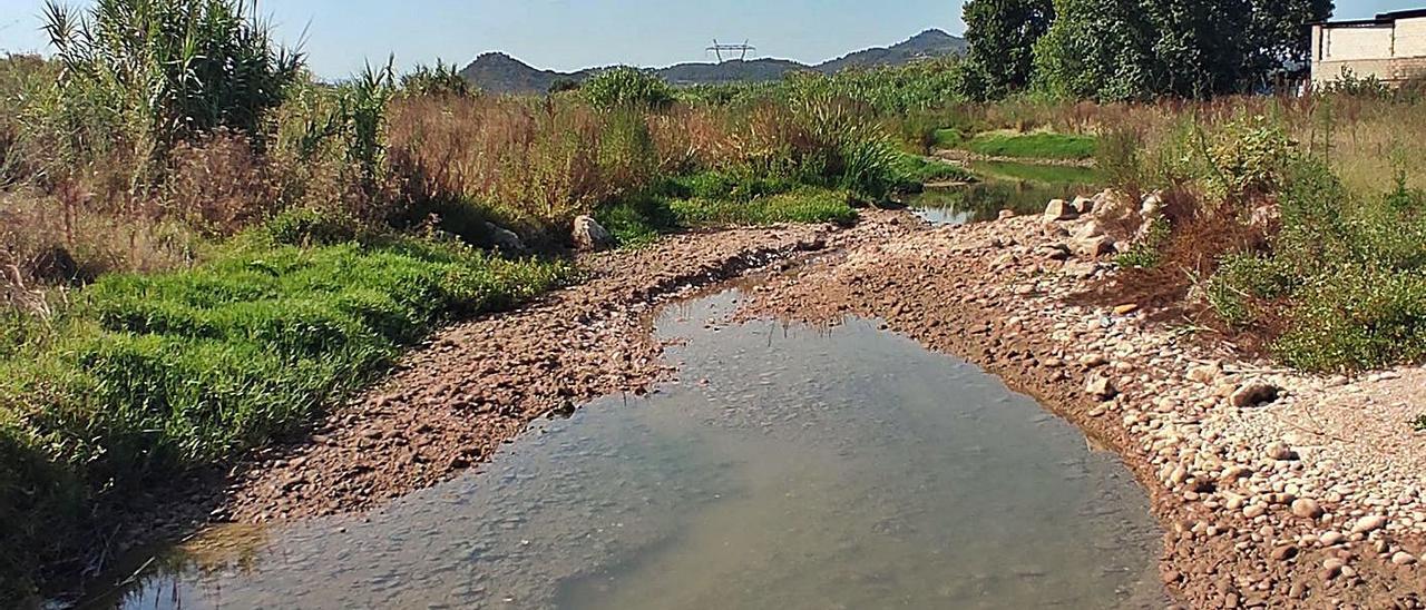 Algunos tramos del Albaida muestran más agua, pero el río sigue sin hacer honor a su nombre. | XÚQUER VIU