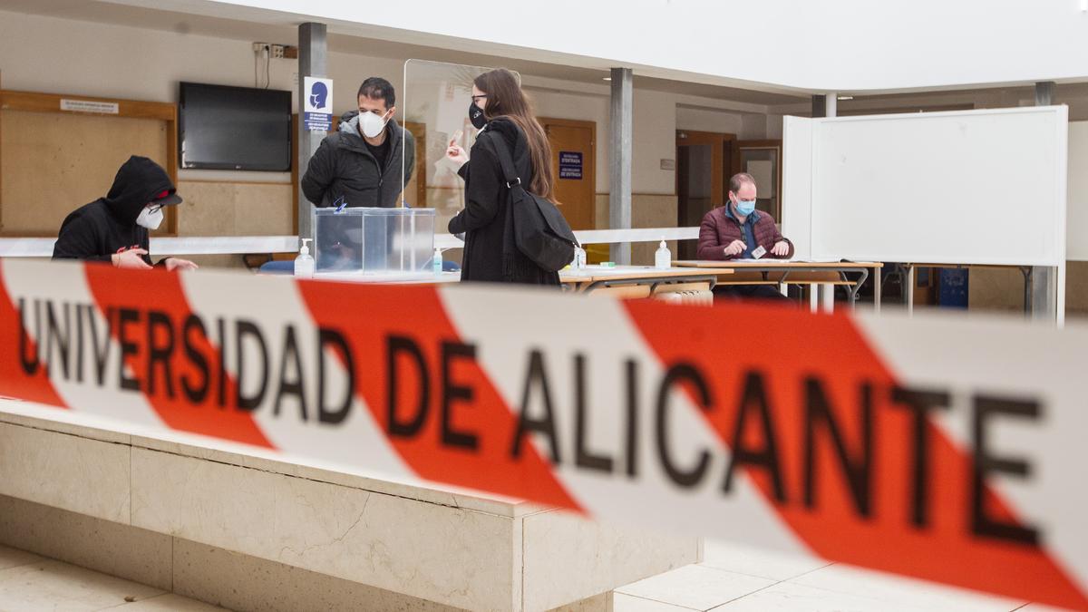 Los catedráticos Amparo Navarro y José Vicente Cabezuelo se disputan este jueves el Rectorado de la UA