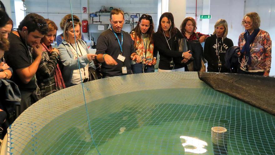 L´oceanogràfic recibe a 80 docentes